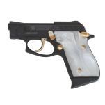 TAURUS PT22 / PT25 Image